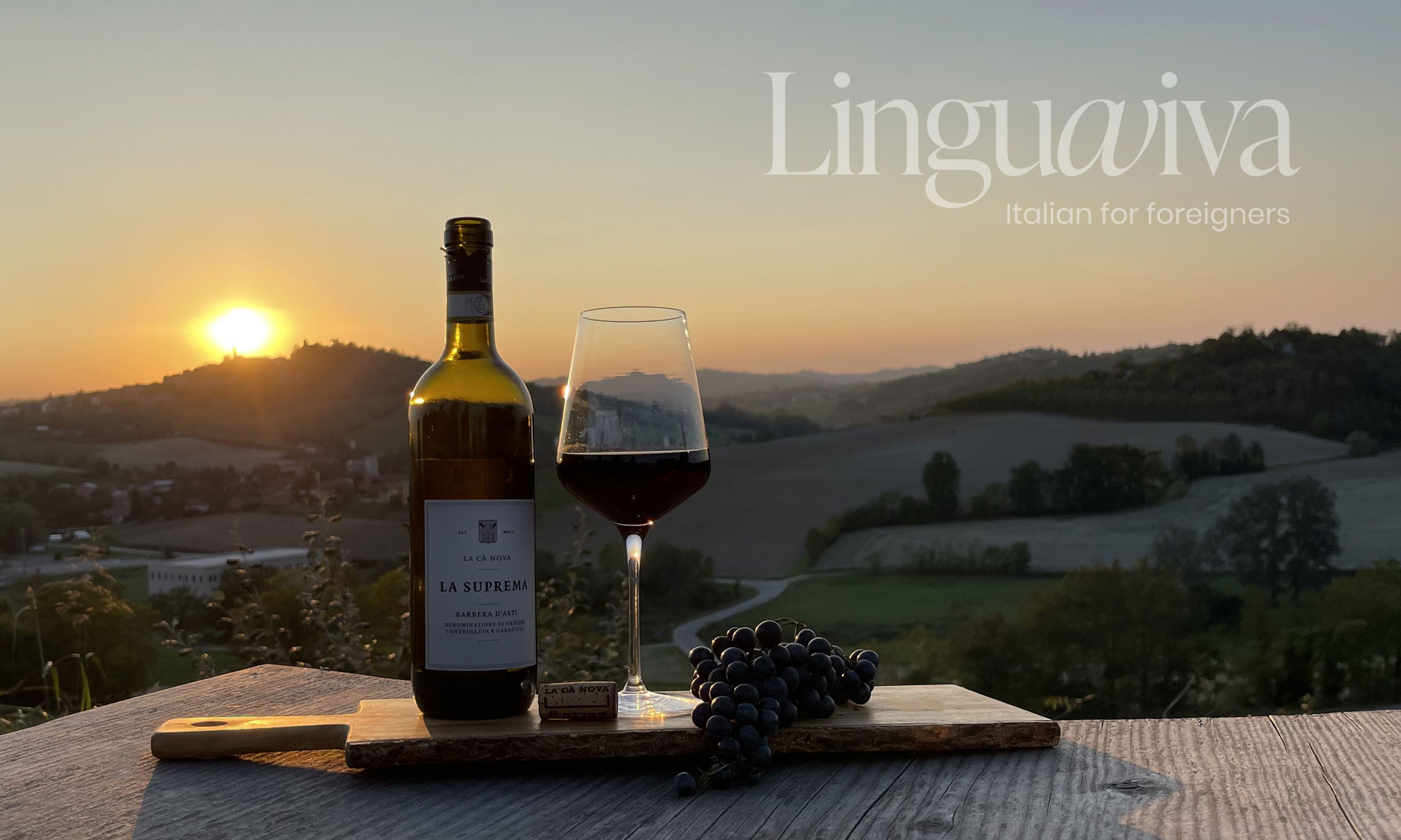 Linguaviva Montiglio Monferato Barbera vino